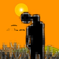 Dispelling Common Misconceptions about Farmworkers