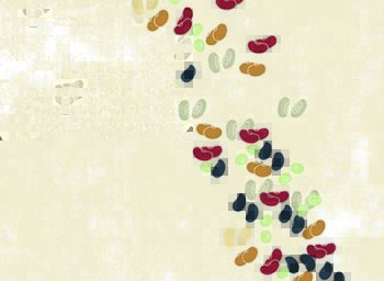 How Do We Fix The Future? Beans is How