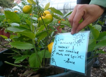 ‘Tis the Season! Campus Farms and Gardens