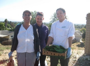 Yahoo! Crew Goes Cactus Hunting