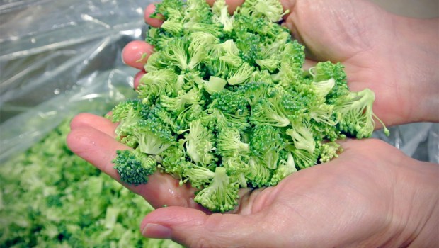 Think Nobody Wants To Buy Ugly Fruits And Veggies? Think Again