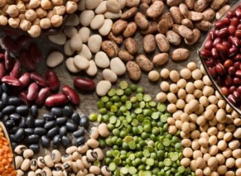 From Hummus to Minestrone: Taking the Pulse of Beans in Global Cuisine