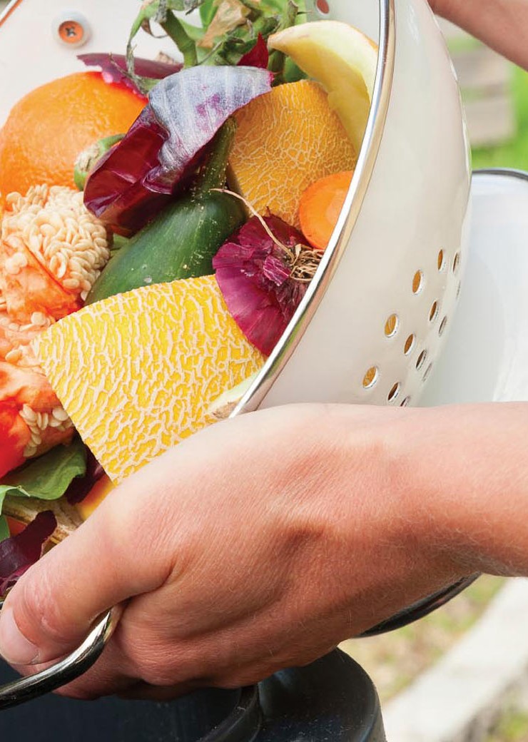 foodwaste-26585202Large_2840px