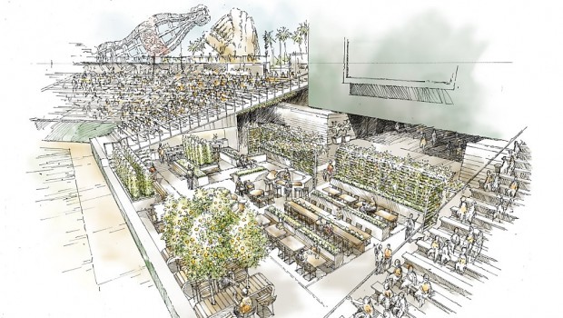 BAMCO, Giants Plan to Bring Food from Centerfield to Table