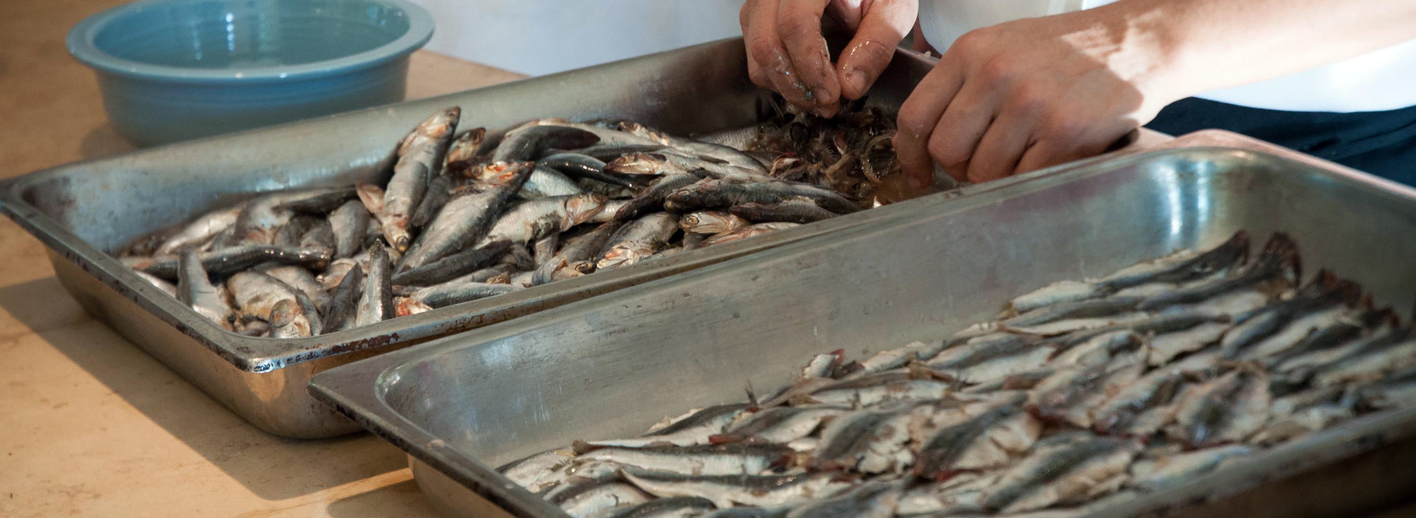 Fish to Fork