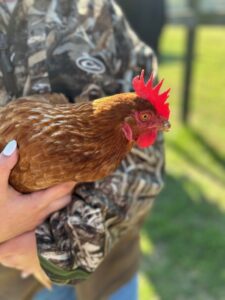 A person holding a chicken