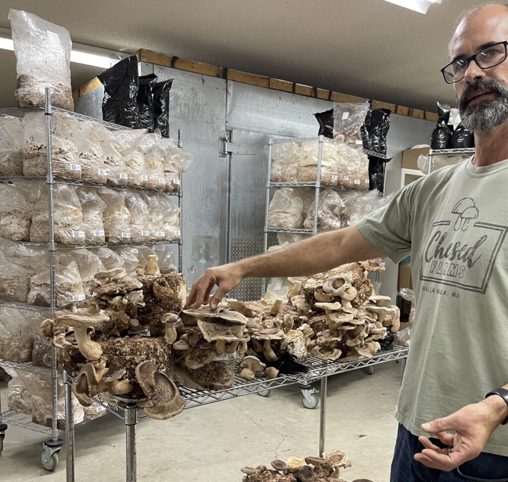 A man stands next to racks of mushrooms being cultivated indoors.